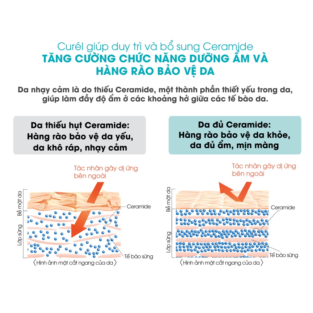 Bộ Dưỡng Ẩm Curél Trial Mini Size 4 sản phẩm