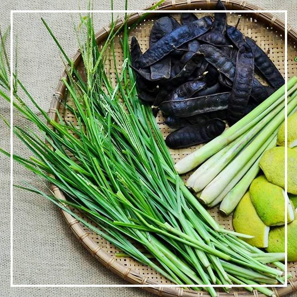 Bộ đôi Dầu Gội Bồ Kết + Dầu Xả Argan & Dừa phát huy tác dụng cao nhất với tóc, giúp tóc ngày càng chắc khỏe và suôn mượt | BigBuy360 - bigbuy360.vn