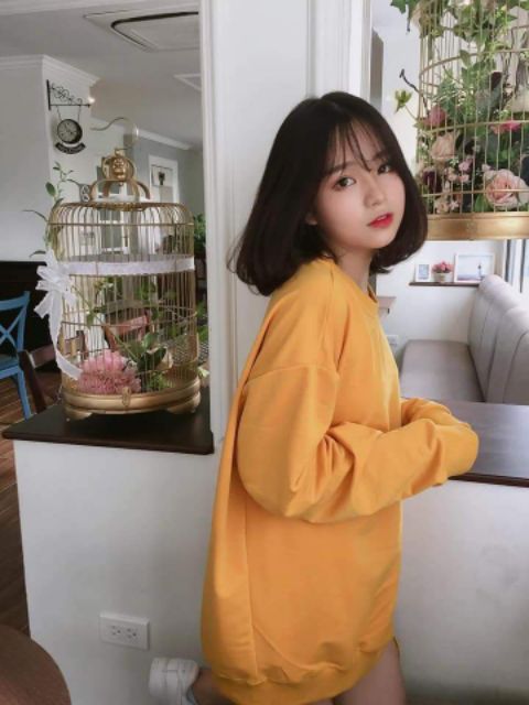 Áo Nỉ Bông Chui Đầu Trơn Sweater Tay Dài