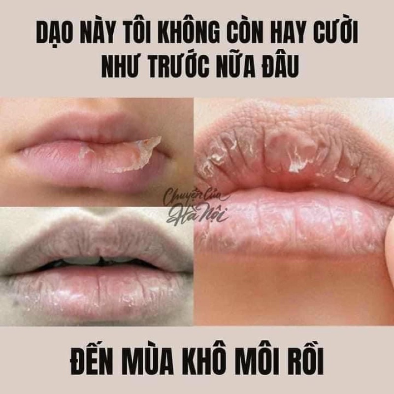 Mặt nạ dưỡng môi Prreti: Real Vita Hydrogel Lip Patch