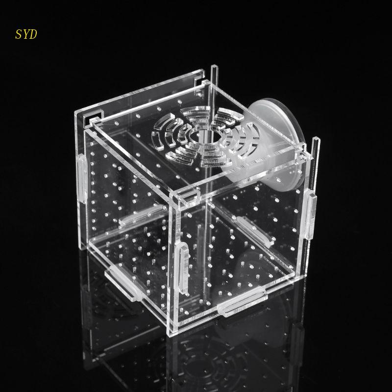 Tốt Nhất Hộp Nuôi Cá Bằng Acrylic Trong Suốt Cách Ly Ấp Trứng Cá Có Giác Hút Cho Trẻ Sơ Sinh
