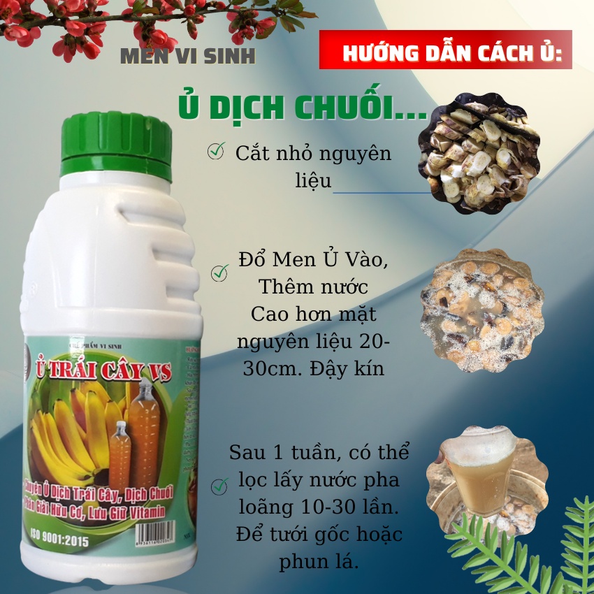 Men Vi Sinh: Ủ DỊCH CHUỐI Và Trái Cây Làm Phân Bón Nhanh - Hiệu Quả - Đơn Giản - Chai 500 ml