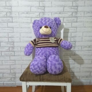 Gấu Teddy 1m2 áo len cao cấp