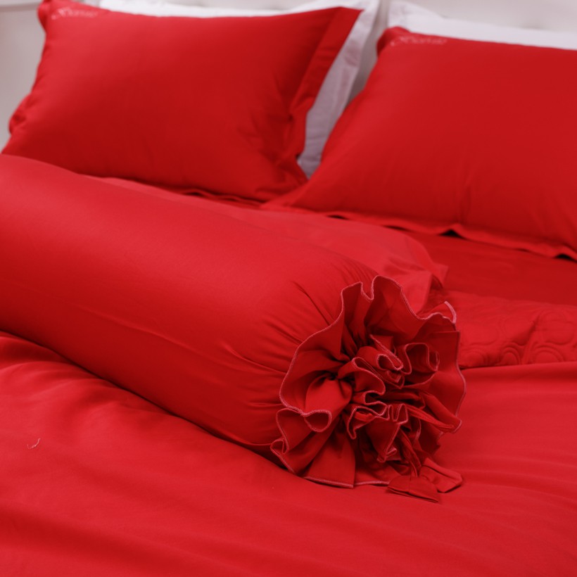 Bộ chăn ga gối Forever Silky G121