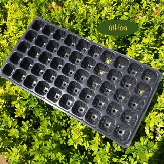 (Siêu bền chắc) 5 cái Khay Ươm Hạt, vỉ ươm hạt 32/50/72/104/105/128/200 lỗ siêu tiện lợi