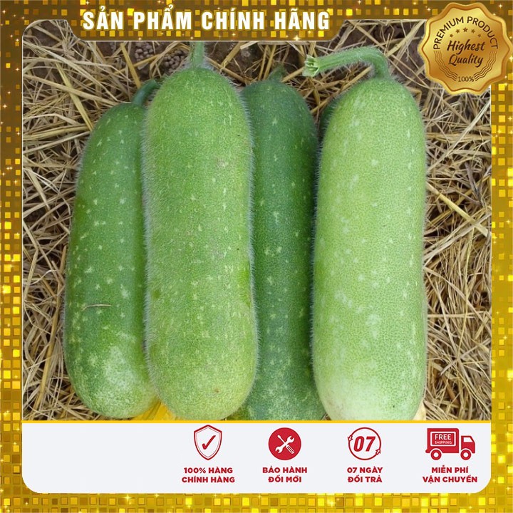 Hạt Giống Bí Đao Chanh dễ trồng gói 0.5 gram 10-20 hạt