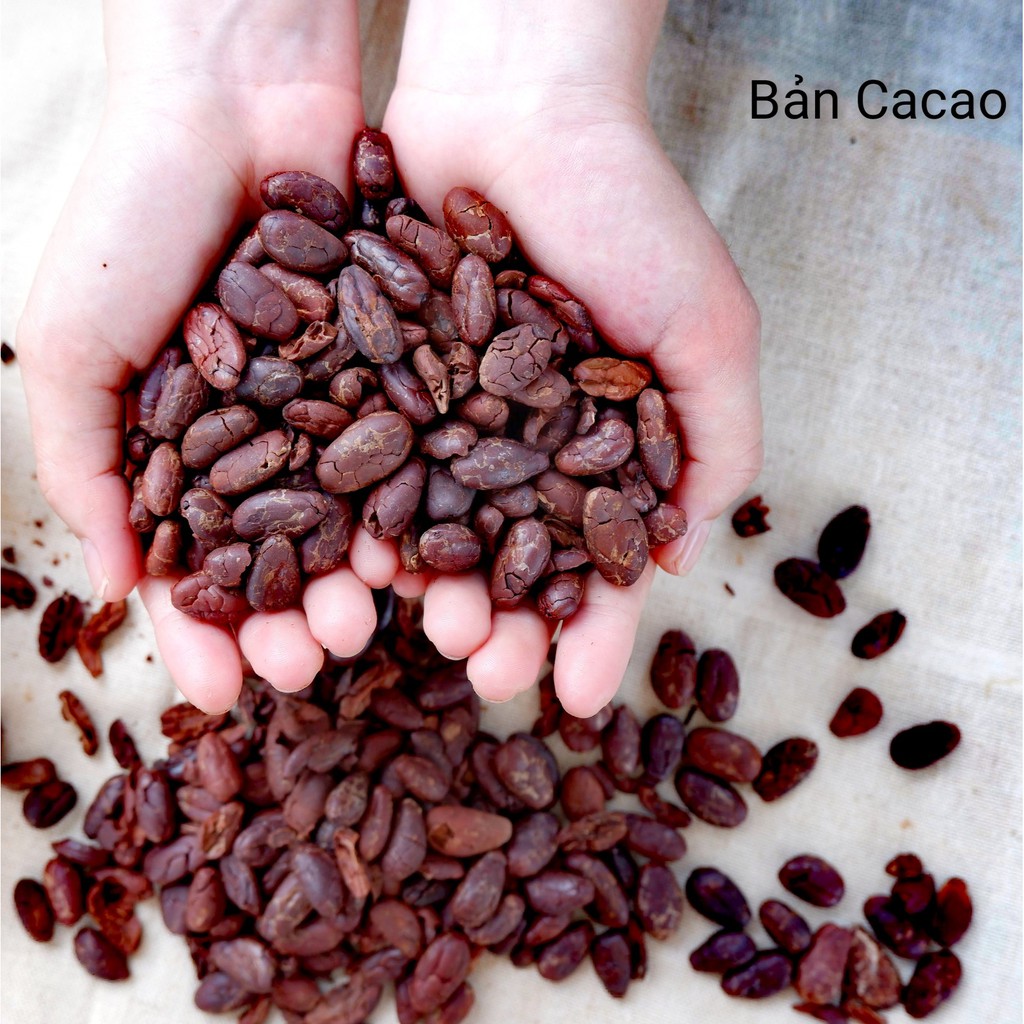 Cacao ngòi túi 1kg  - Cocoa nibs