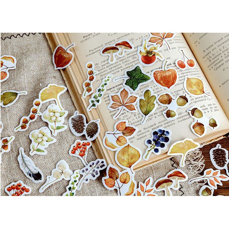 Bộ 46 Sticker Mùa Thu Vàng dán trang trí E46