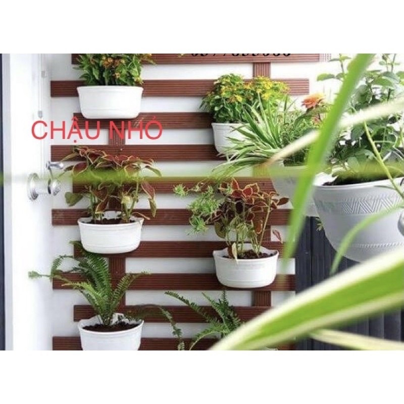 Chậu nhựa trồng cây ốp treo tường thông minh hình bán nguyệt-loại dày,đẹp
