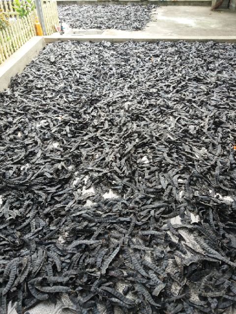 ☘Bồ kết khô 1kg  🌹🌹🌹