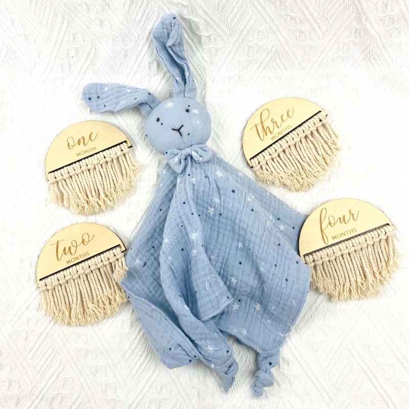 Bộ 12 Thẻ Ghi Âm Theo Tháng Dùng Cho Trẻ Sơ Sinh