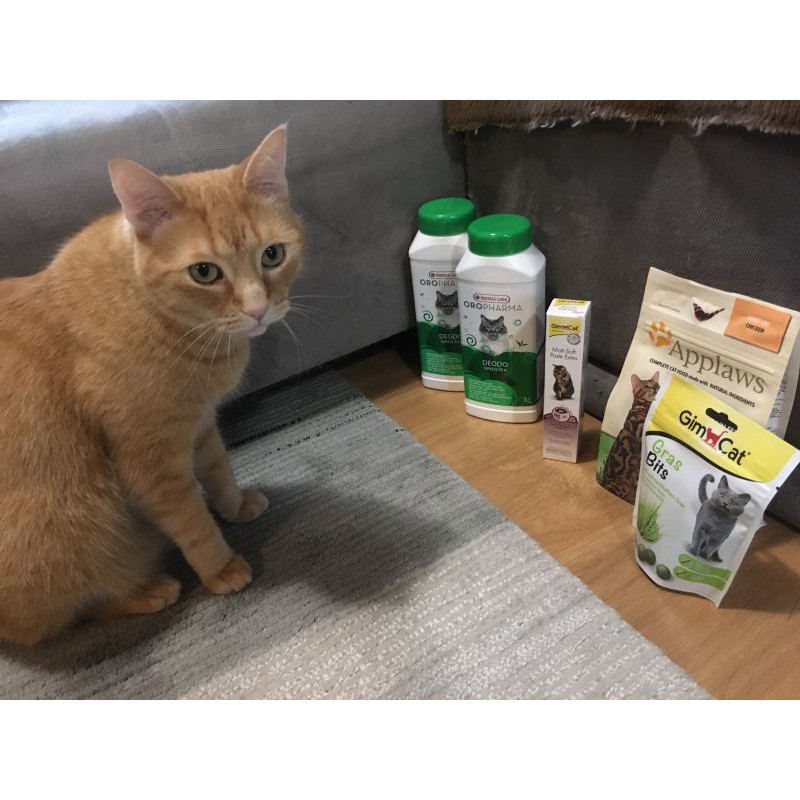 [𝐆𝐢𝐚́ 𝐡𝐮𝐲̉ 𝐝𝐢𝐞̣̂𝐭] Gimcat Treat cỏ tốt cho tiêu hóa 140gr cho mèo