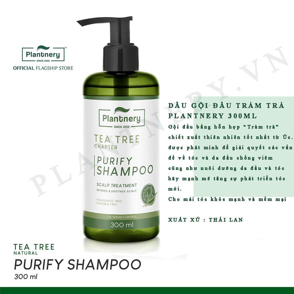 Dầu gội đầu tinh chất tràm trà PLANTNERY TREE PURIFY SHAMPOO 300ML Thái Lan