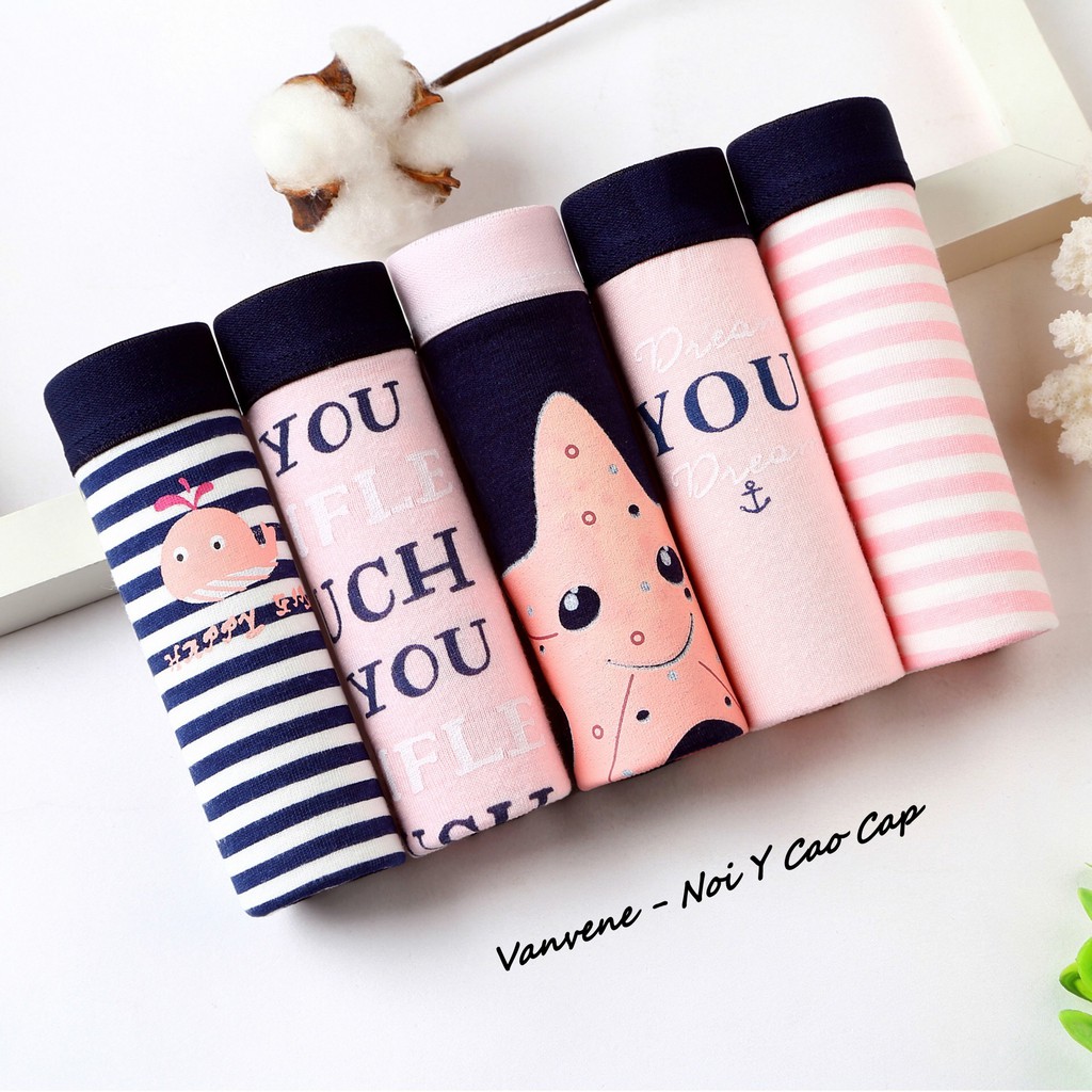 [Mã SKAMA8 giảm 8% đơn 300K] COMBO 5 QUẦN LÓT COTTON CHỐNG VIÊM KHÁNG KHUẨN CẠP VỪA QUẦN CHIP BIGSIZE SET 5 QUẦN Q229 | BigBuy360 - bigbuy360.vn