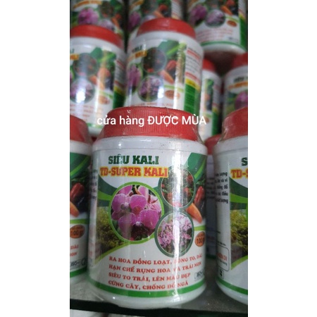 Phân bón SIÊU KALI giúp bông nở to đều, màu sắc đẹp.