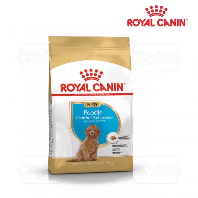 royal canin poodle puppy cho chó dưới 1 tuổi