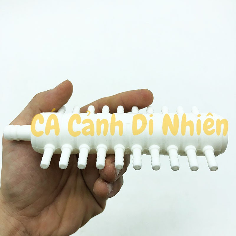 Ống chia dây sủi khí Oxy 20 đầu cho hồ cá cảnh