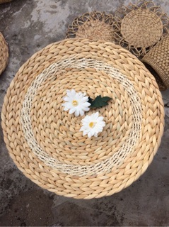 Đĩa lục bình