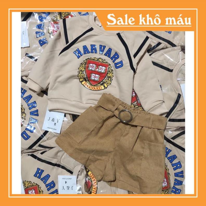 Set áo nỉ be HARVARD+quần sooc nhung bé gái - Mẫu mới 2021