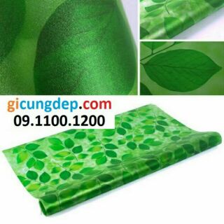 Decal dán kính/kiếng lá xanh