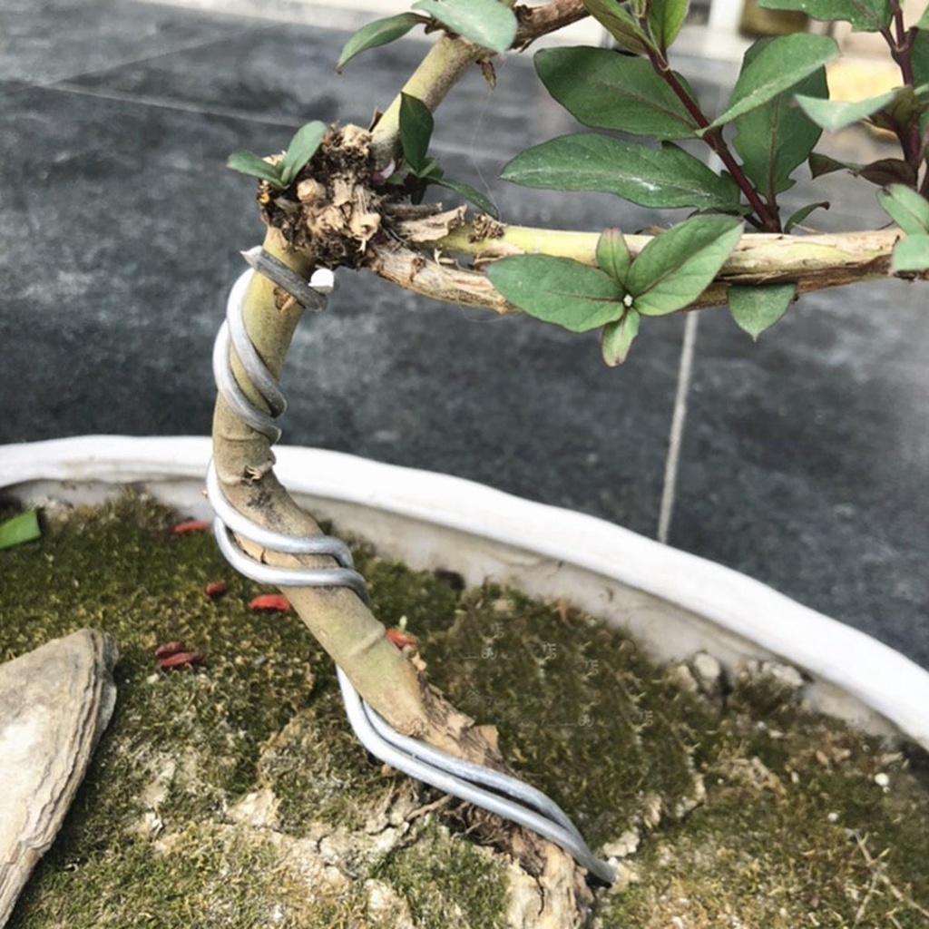 Cuộn Dây Nhôm 5m Uốn Cong Làm Mô Hình Cây Bonsai
