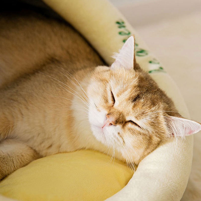 Lều Ngủ Hình Trái Bơ Chống Trượt Giữ Ấm Cho Thú Cưng