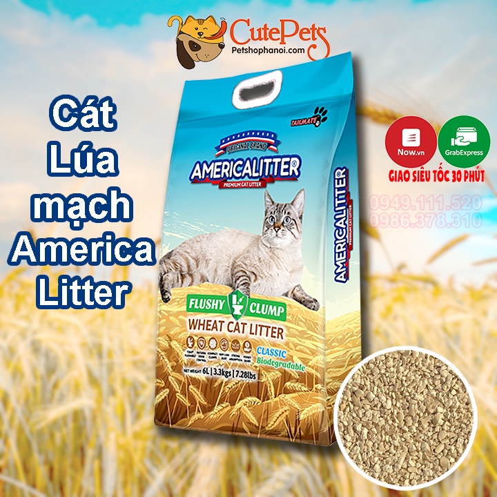 Cát vệ sinh cho mèo, Cát lúa mạch America Wheat Litter 11L 6.4kg Đổ được bồn cầu