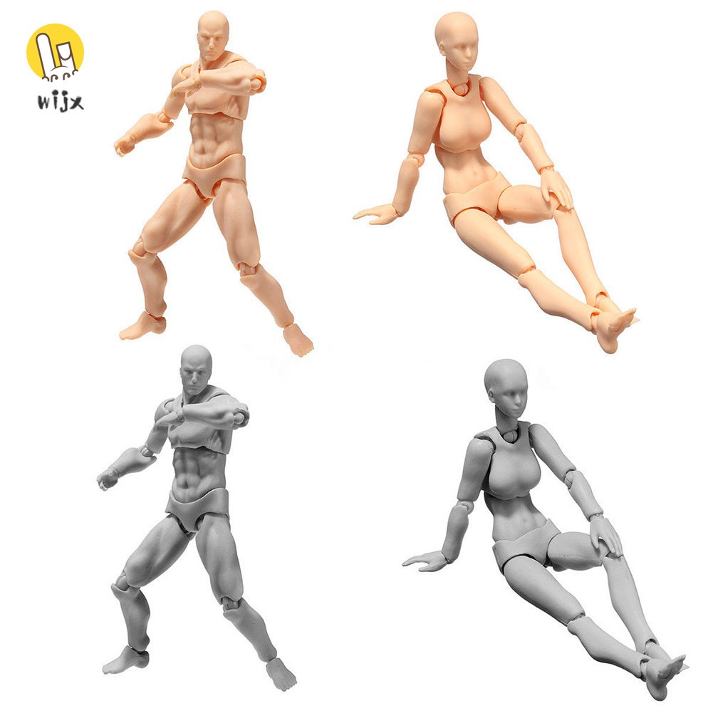 Bộ mô hình cơ thể người bằng PVC hữu ích cho vẽ phác họa