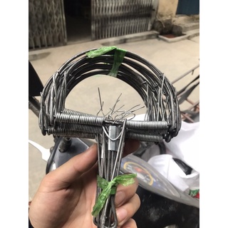 Bẫy chuột