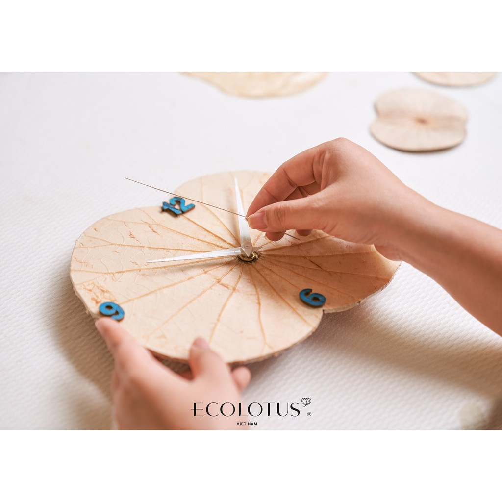 Đồng Hồ Lá Sen (Ecolotus) | Nhiều Màu