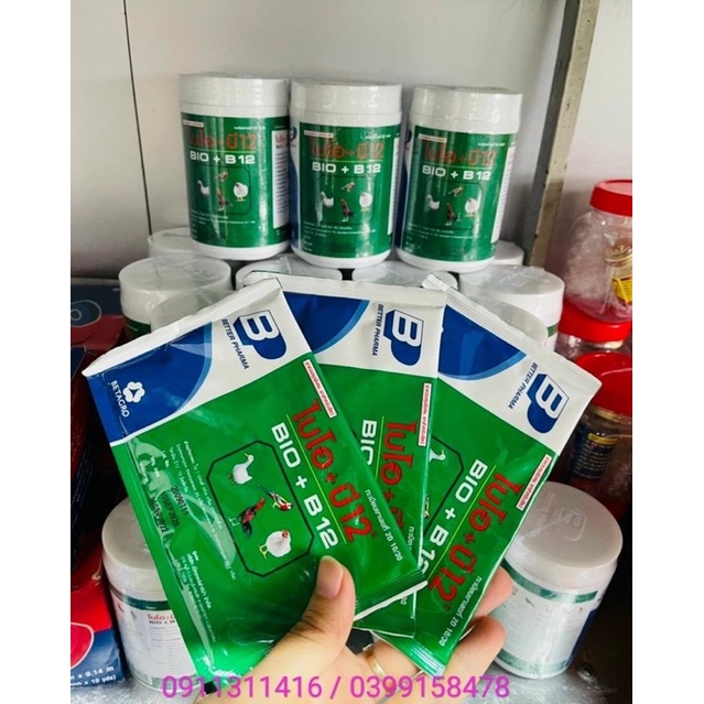 Úm gà con thái lan,phòng bệnh gà b10 b12