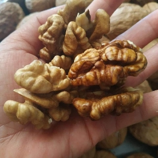 ÓC CHÓ NHÂN - Óc chó vàng đã bóc vỏ (500gr)