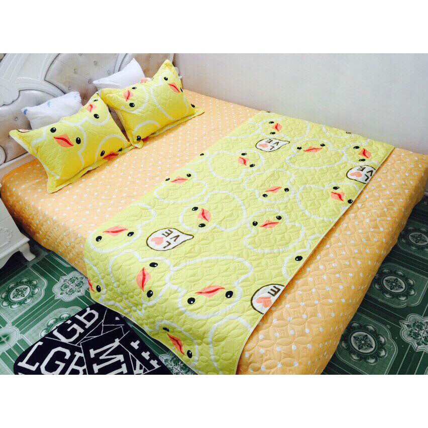 BỘ GA COTTON POLY VỊT VÀNG