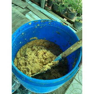 Phân hữu cơ 100% đậu nành Humic ko mùi