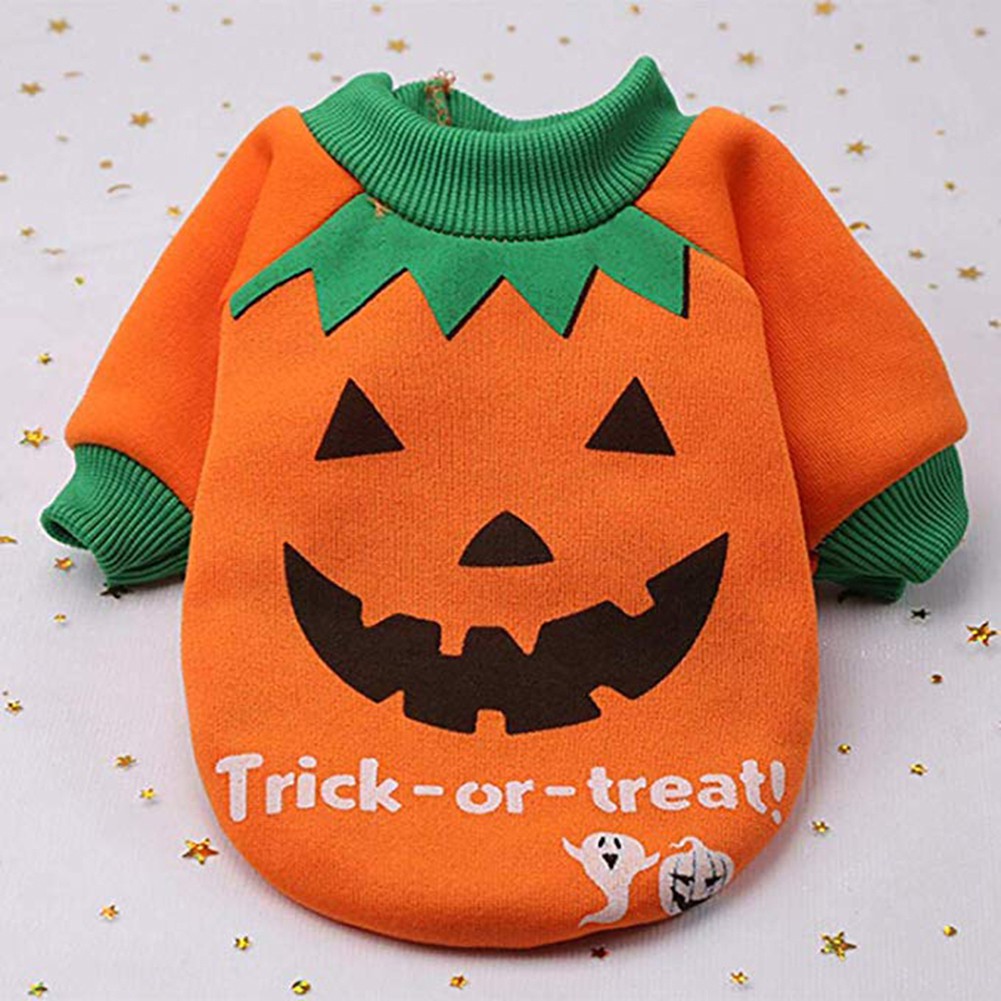 Đồ Hóa Trang Halloween Cho Thú Cưng