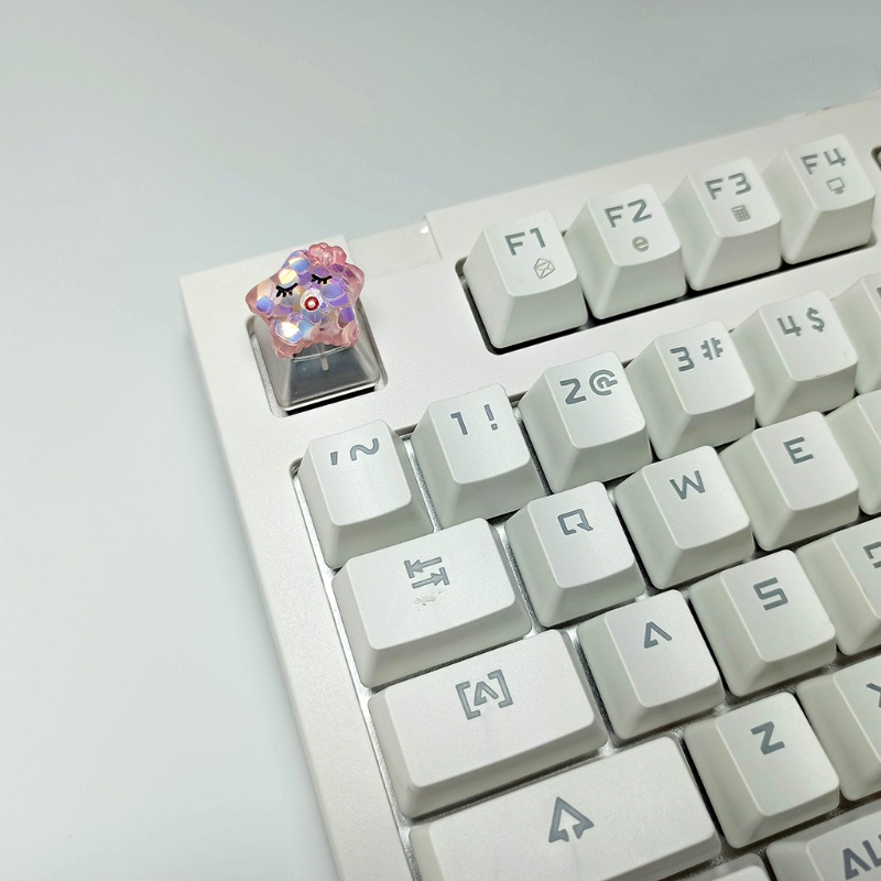 Nút Bàn Phím OEM R4 Bằng ABS Bền Bỉ Sáng Tạo Cho Cherry MX Switches Swan Owl