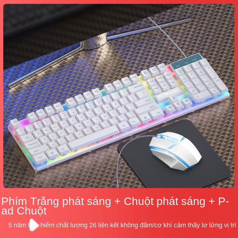 bàn phím có dây văn phòng bộ chuột gõ đặc biệt, cảm giác thao tác, máy tính để tắt tiếng trò chơi game bên ng | BigBuy360 - bigbuy360.vn