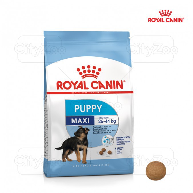 10kg,ROYAL CANIN MAXI PUPPY Dành cho chó có (cân nặng tối đa từ 26 - 44kg) và đang trong lứa tuổi Puppy từ 2 đến 15 thág