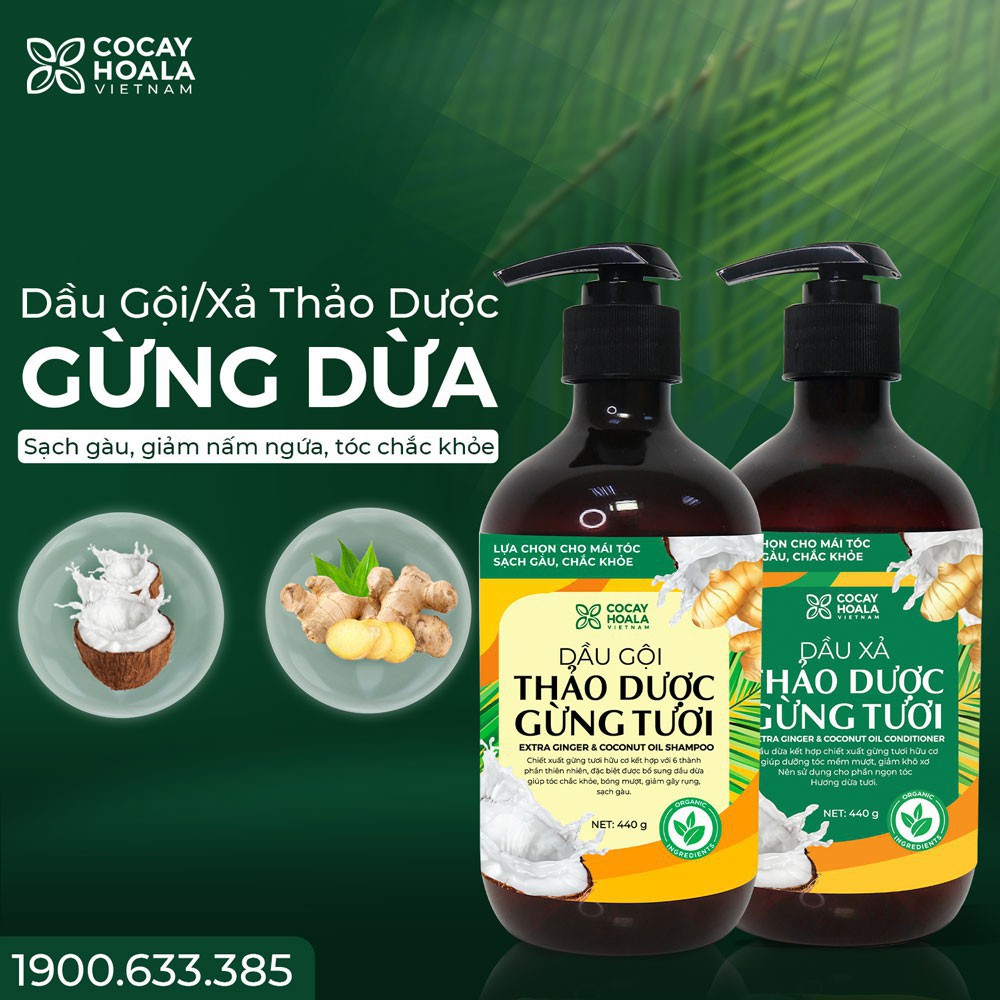 Dầu gội thảo dược gừng dừa hữu cơ - Dầu gội thảo dược gừng dừa Cocayhoala đánh bay gàu, giảm ngứa dung tích 440g/chai | BigBuy360 - bigbuy360.vn