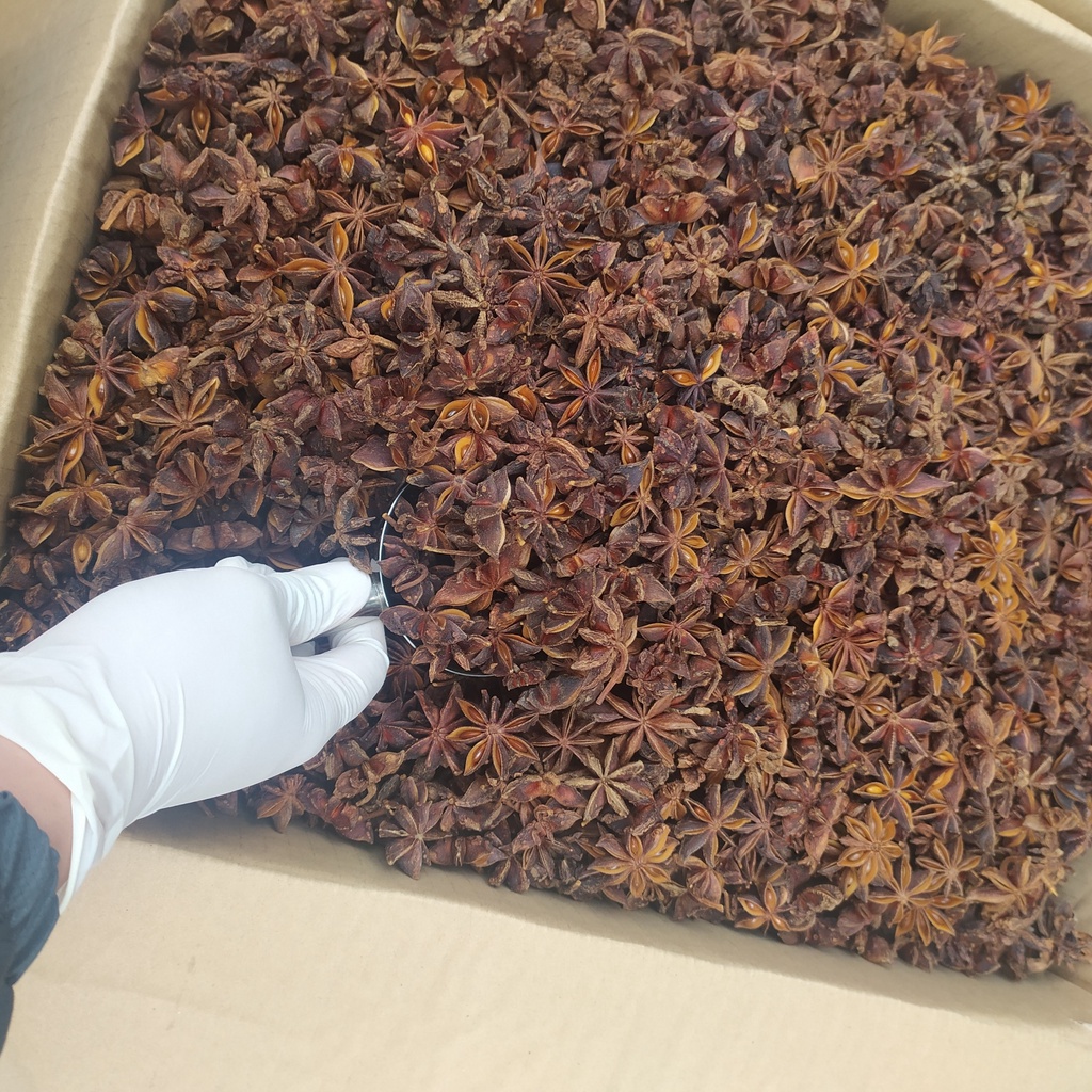 Hoa hồi nguyên chất 100-500gr Star Anise BH Spices chế biến thực phẩm BHS005