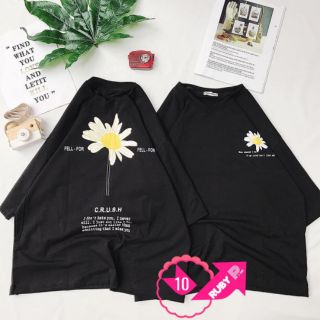 Áo thun cotton hoa cúc mẫu mới