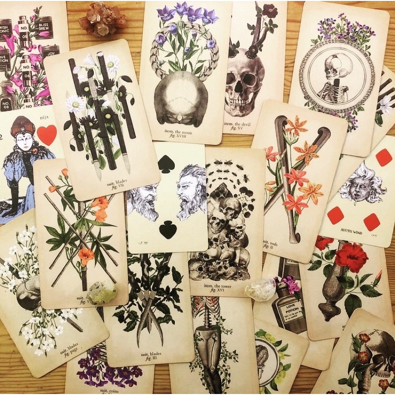 Bộ bài The Antique Anatomy Tarot Kit authentic order Mỹ  for the Modern Reader