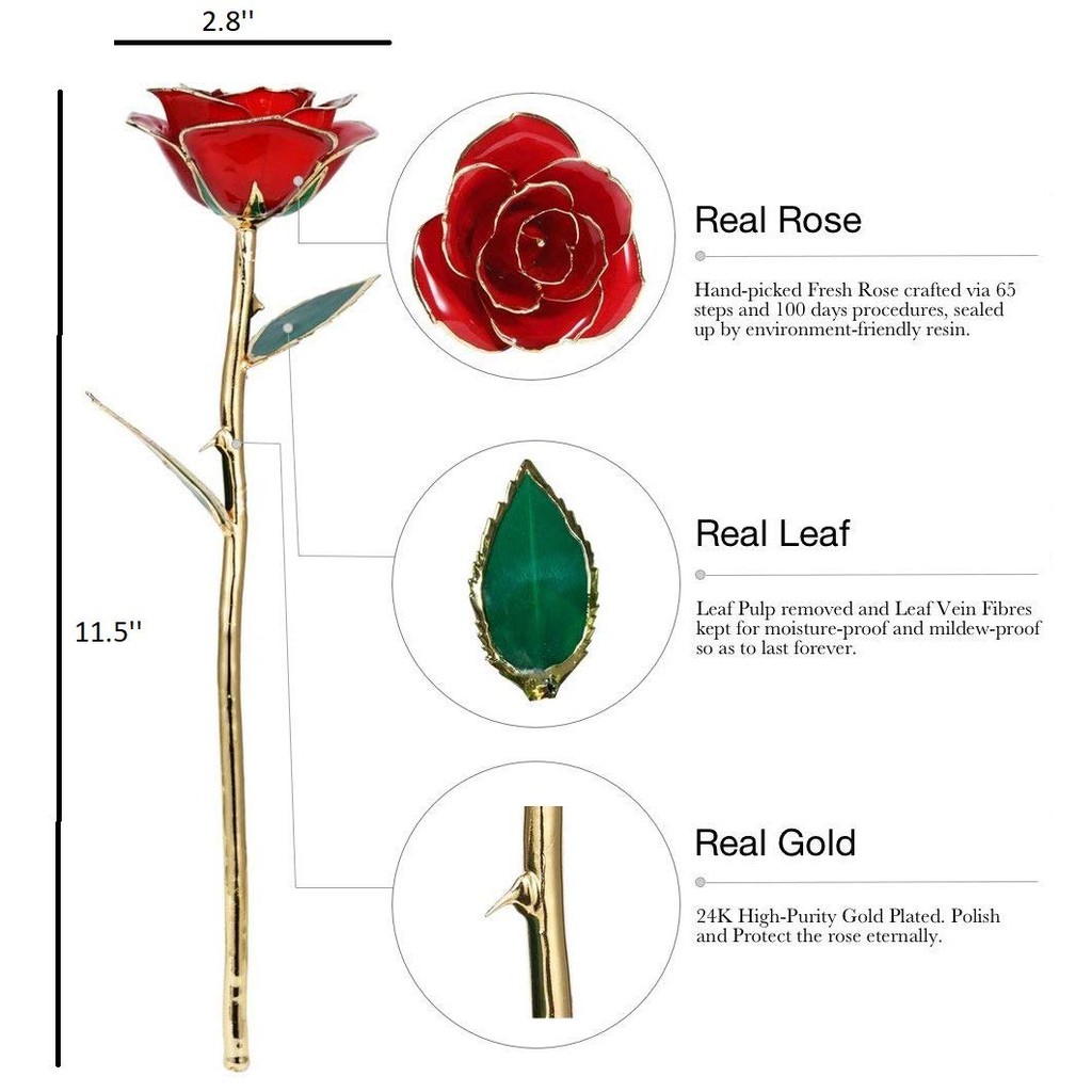 Quà 8-3, Hoa hồng thật mạ vàng 10K, Đẹp mãi mãi không tàn, không hỏng, kèm đế