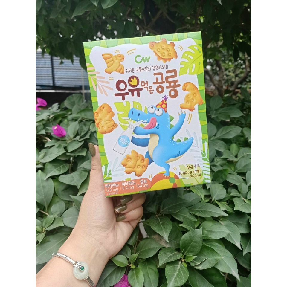 Bánh khủng long vị Hàn Quốc 30k/ hộp 60gr