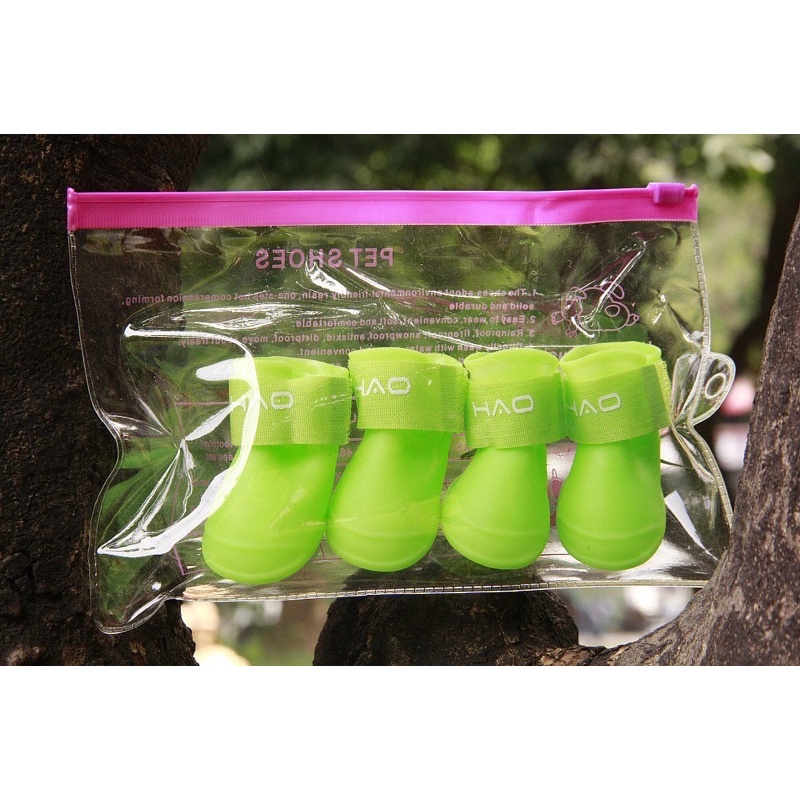 Giày chống nước chó mèo