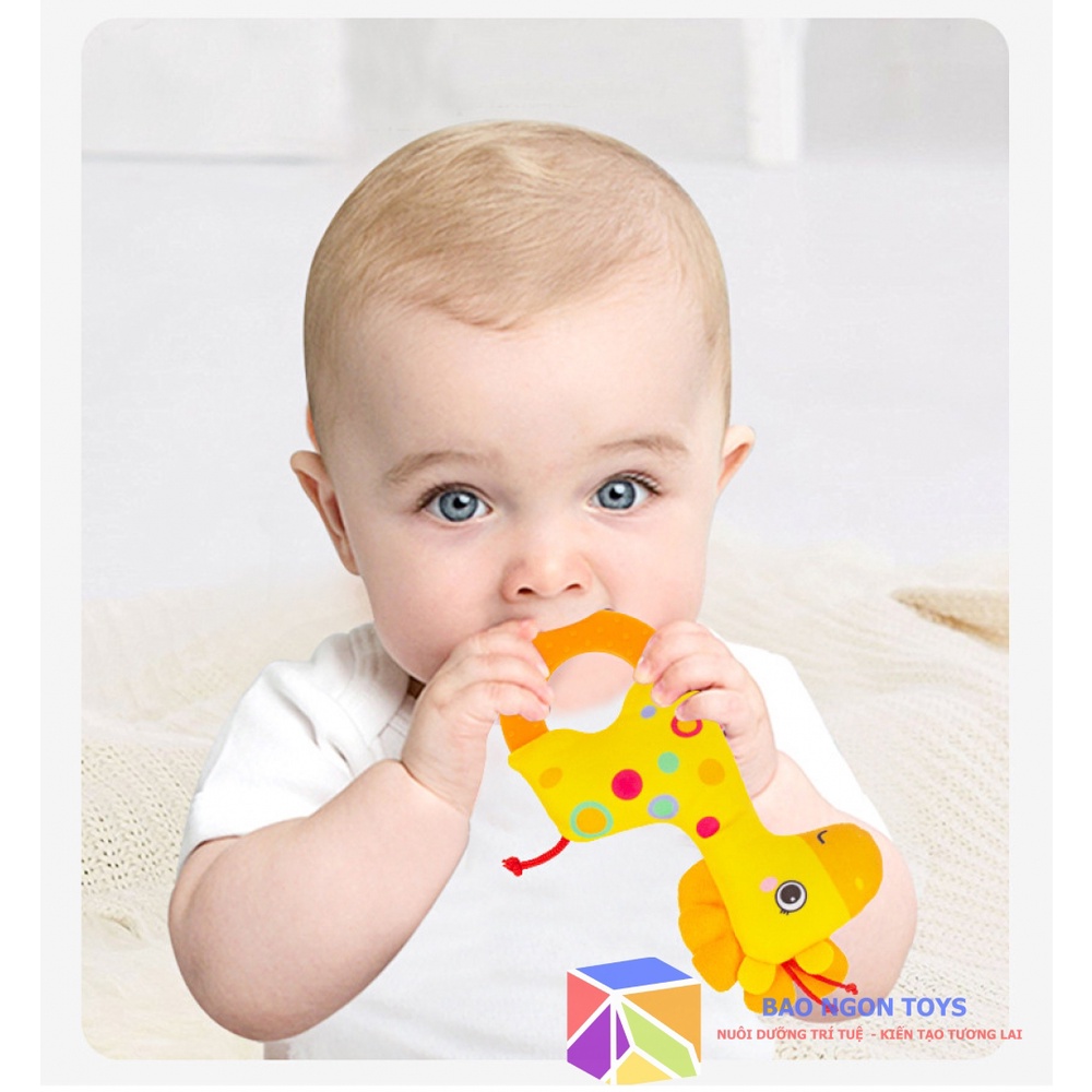 ĐỒ CHƠI XÚC XẮC GẤU BÔNG KÈM GẶP NƯỚU GIÚP BÉ PHÁT TRIỂN GIÁC QUAN VÀ KHẢ NĂNG CẦM NẮM - BAO NGON TOYS - DV62