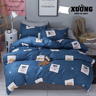 Bộ vỏ chăn ga gối cotton poly chó xanh