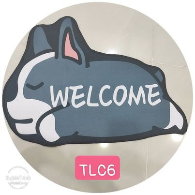 😍 THẢM LAU CHÂN HÌNH THÚ {XẢ KHO{} - 40 x 60cm - Chống Trơn Trượt + Thấm Nước