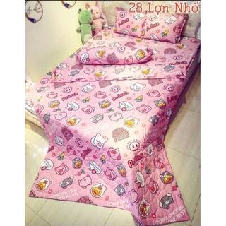 Bộ chăn ga 5 món cotton poly