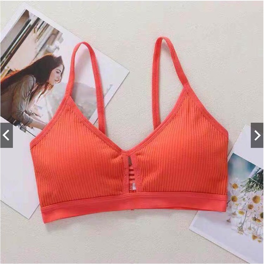 Áo bra cotton nhiều màu mã 8816